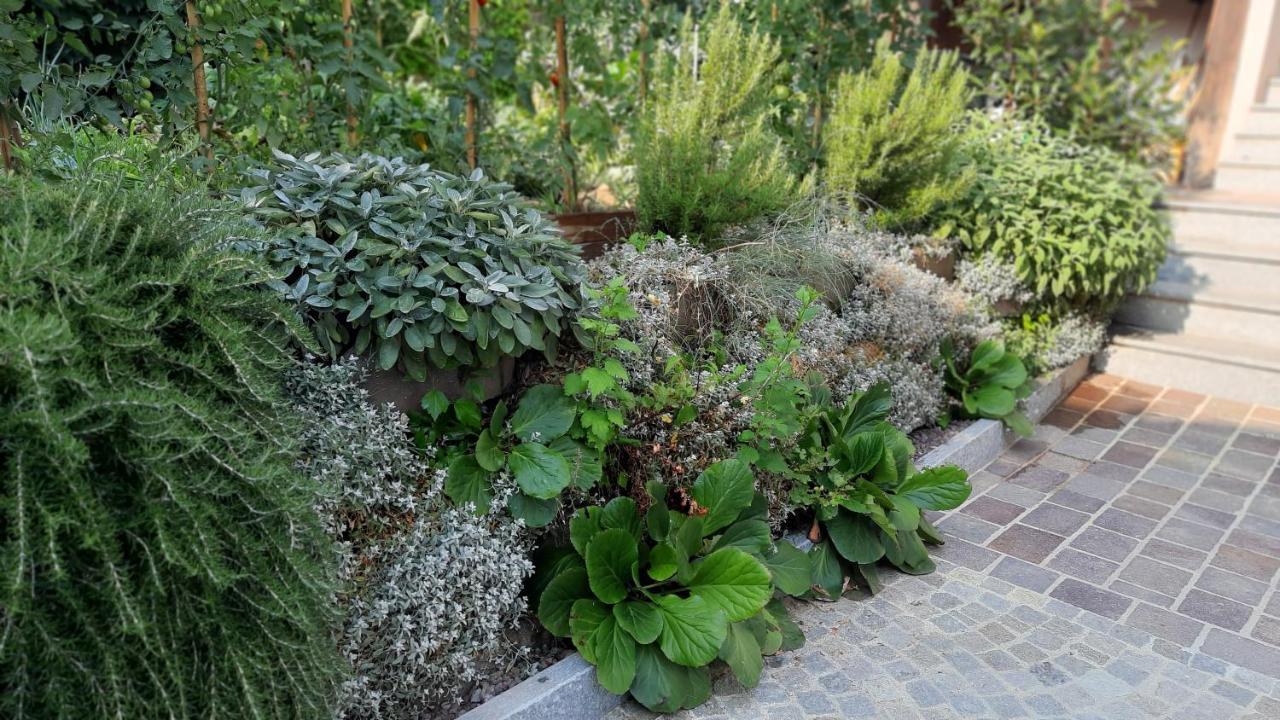 B&B Ai Tre Cavalli Cherasco Kültér fotó