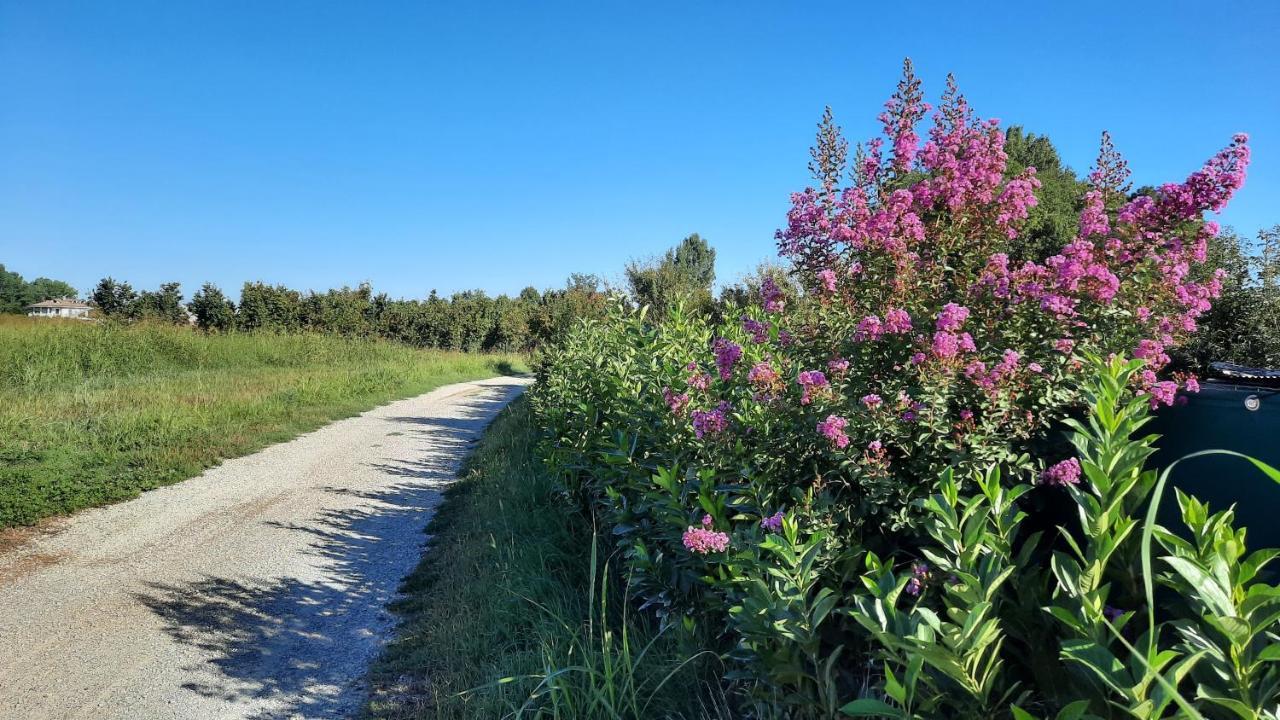 B&B Ai Tre Cavalli Cherasco Kültér fotó